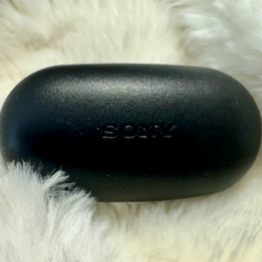 Sony Black Earbuds
